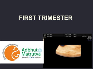 FIRST TRIMESTER
 
