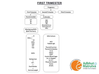 FIRST TRIMESTER
 
