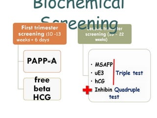 Biochemical
Screening
 