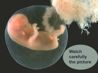 Watch
carefully
the picture
 