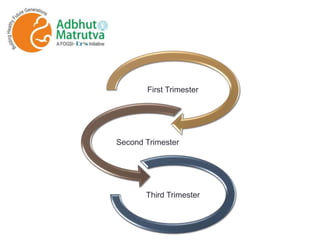 First Trimester
Second Trimester
Third Trimester
 