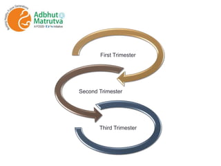 First Trimester
Second Trimester
Third Trimester
 