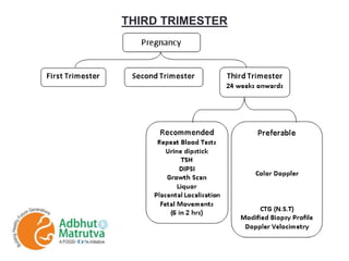 THIRD TRIMESTER
 