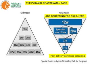 ADD SCREENING FOR N.C.D.HERE
THE PYRAMID OF ANTENATAL CARE
Post delivery continued screening
 