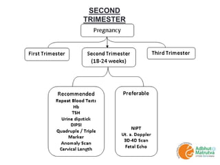 SECOND
TRIMESTER
 