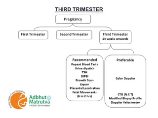 THIRD TRIMESTER
 