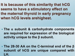It is because of this similarity that hCG
seems to have a stimulatory effect on
the maternal thyroid in early pregnancy
when hCG levels arehighest.
 The α subunit & carbohydrate components
are required for expression of the biological
activity unique to the β subunit.
 The 28-30 AA on the C-terminal end of the β
subunit of hCG are unique compared with
LH.
 