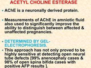 ACETYL CHOLINE ESTERASE
 AChE is a neuronally derived protein.
 Measurements of AChE in amniotic fluid
also used to significantly improve the
ability to distinguish between affected &
unaffected pregnancies.
 DETERMINED BY GEL-
ELECTROPHORESIS.
 This approach has not only proved to be
highly sensitive at detecting open neural
tube defects [99% anencephaly cases &
98% of open spina bifida cases with
positive AFP results ].
 