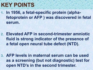 Elevated Maternal Serum Afp | Alpha-fetoprotein (AFP) – YAZEGZ