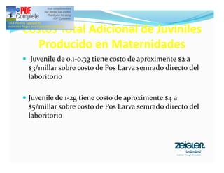 Costos Total Adicional de Juviniles
Producido en Maternidades
— Juvenile de 0.1-0.3g tiene costo de aproximente $2 a
$3/millar sobre costo de Pos Larva semrado directo del
laboritorio
— Juvenile de 1-2g tiene costo de aproximente $4 a
$5/millar sobre costo de Pos Larva semrado directo del
laboritorio
 