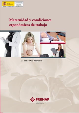 Maternidad y condiciones
ergonómicas de trabajo
A. Emir Díaz Martínez
 