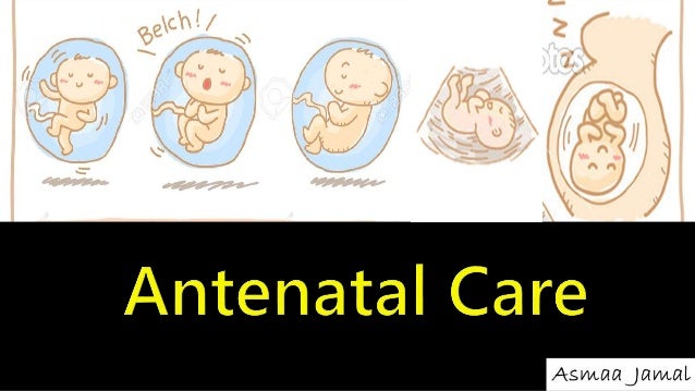 Automated low-cost ultrasound: improving antenatal care in resource-limited settings - Diagnostic Image Analysis Group