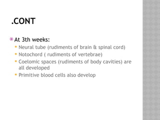 Comprehensive Maternity Clinical Guide: Female Reproductive Anatomy ...