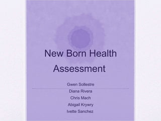 New Born Health Assessment  Gwen Sollestre Diana Rivera Chris Mach Abigail Krywry Ivette Sanchez  