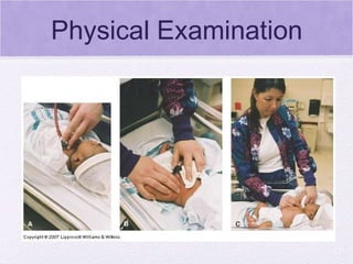 Physical Examination 