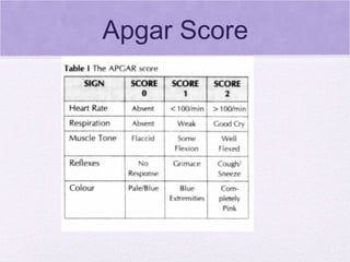Apgar Score 