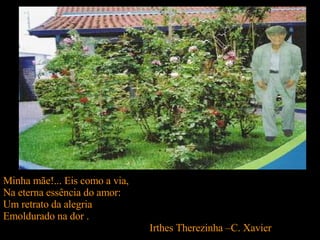 Minha mãe!... Eis como a via, Na eterna essência do amor: Um retrato da alegria Emoldurado na dor . Irthes Therezinha –C. Xavier  