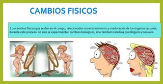 Los cambios físicos que se dan en el cuerpo, relacionados con el crecimiento y maduración de los órganos sexuales,
durante este proceso no solo se experimentan cambios biológicos, sino también cambios psicológicos y sociales.
 