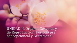 UNIDAD II. Órganos Sexuales y
de Reproducción, Periodo pre
concepcioncal y Gestacional
 