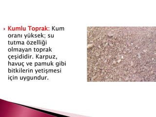  Kumlu Toprak: Kum
oranı yüksek; su
tutma özelliği
olmayan toprak
çeşididir. Karpuz,
havuç ve pamuk gibi
bitkilerin yetişmesi
için uygundur.
 