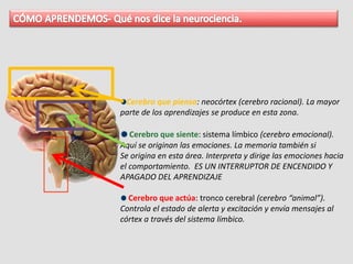 Cerebro que piensa: neocórtex (cerebro racional). La mayor
parte de los aprendizajes se produce en esta zona.
Cerebro que siente: sistema límbico (cerebro emocional).
Aquí se originan las emociones. La memoria también si
Se origina en esta área. Interpreta y dirige las emociones hacia
el comportamiento. ES UN INTERRUPTOR DE ENCENDIDO Y
APAGADO DEL APRENDIZAJE
Cerebro que actúa: tronco cerebral (cerebro “animal”).
Controla el estado de alerta y excitación y envía mensajes al
córtex a través del sistema límbico.
 