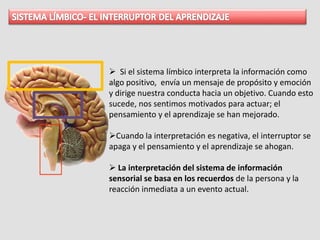  Si el sistema límbico interpreta la información como
algo positivo, envía un mensaje de propósito y emoción
y dirige nuestra conducta hacia un objetivo. Cuando esto
sucede, nos sentimos motivados para actuar; el
pensamiento y el aprendizaje se han mejorado.
Cuando la interpretación es negativa, el interruptor se
apaga y el pensamiento y el aprendizaje se ahogan.
 La interpretación del sistema de información
sensorial se basa en los recuerdos de la persona y la
reacción inmediata a un evento actual.
 