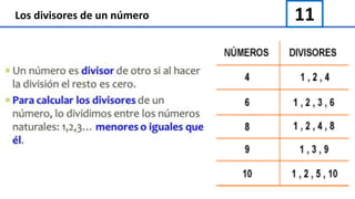 11Los divisores de un número
 
