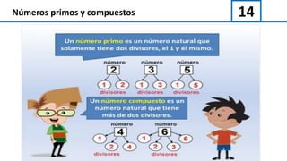 14Números primos y compuestos
 