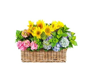 Mates calcul baixa resol