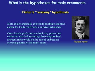 Mate selection: Principles and theories