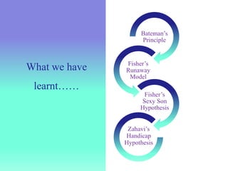 Mate selection: Principles and theories