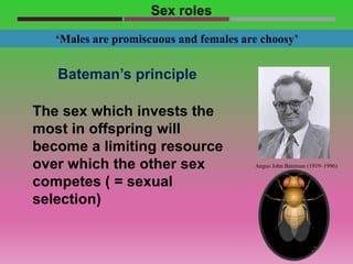 Mate selection: Principles and theories