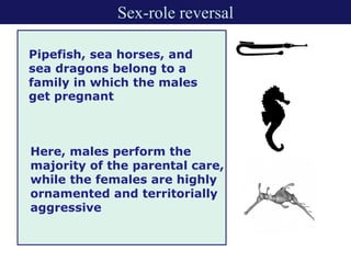 Mate selection: Principles and theories