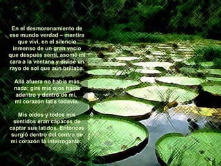 En el desmoronamiento de ese mundo verdad – mentira que viví, en el silencio inmenso de un gran vacío que después sentí, asomé mi cara a la ventana y divisé un rayo de sol que aún brillaba. Allá afuera no había más nada; giré mis ojos hacia adentro y dentro de mi,  mi corazón latía todavía. Mis oídos y todos mis sentidos eran capaces de captar sus latidos. Entonces surgió dentro del centro de mi corazón la interrogante:   ****************** 