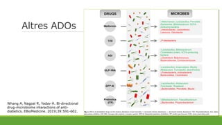 Altres ADOs
Whang A, Nagpal R, Yadav H. Bi-directional
drug-microbiome interactions of anti-
diabetics. EBioMedicine. 2019;39:591-602.
 