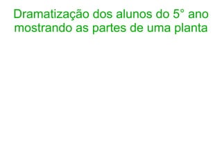 Dramatização dos alunos do 5° ano mostrando as partes de uma planta 