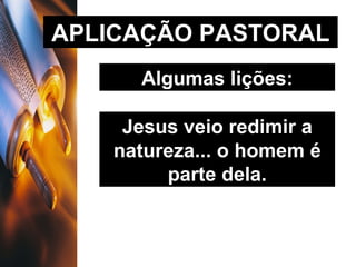 APLICAÇÃO PASTORAL Algumas lições: Jesus veio redimir a natureza... o homem é parte dela. 
