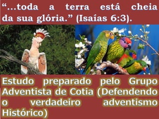 Mateus 28 falso ou verdadeiro