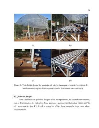 29
(a) (b)
(c) (d)
3.3 Qualidade da água
Para a avaliação da qualidade da água usada no experimento, foi coletada uma amostra,
para as determinações dos parâmetros físico-químicos e químicos: condutividade elétrica a 25°C,
pH, concentrações (mg L-1
) de cálcio, magnésio, sódio, ferro, manganês, boro, zinco, cloro,
silício e enxofre.
Figura 3 - Vista frontal da casa-de-vegetação (a); interior da casa-de-vegetação (b); sistema de
bombeamento e registro de drenagem (c) e calha de retorno e reservatório (d)
 