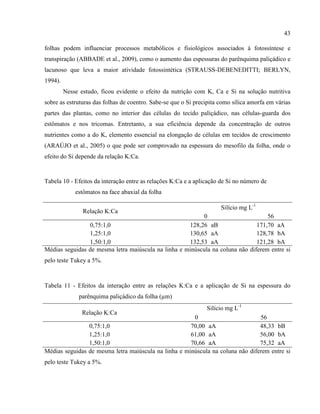43
folhas podem influenciar processos metabólicos e fisiológicos associados à fotossíntese e
transpiração (ABBADE et al., 2009), como o aumento das espessuras do parênquima paliçádico e
lacunoso que leva a maior atividade fotossintética (STRAUSS-DEBENEDITTI; BERLYN,
1994).
Nesse estudo, ficou evidente o efeito da nutrição com K, Ca e Si na solução nutritiva
sobre as estruturas das folhas de coentro. Sabe-se que o Si precipita como sílica amorfa em várias
partes das plantas, como no interior das células do tecido paliçádico, nas células-guarda dos
estômatos e nos tricomas. Entretanto, a sua eficiência depende da concentração de outros
nutrientes como a do K, elemento essencial na elongação de células em tecidos de crescimento
(ARAÚJO et al., 2005) o que pode ser comprovado na espessura do mesofilo da folha, onde o
efeito do Si depende da relação K:Ca.
Tabela 10 - Efeitos da interação entre as relações K:Ca e a aplicação de Si no número de
estômatos na face abaxial da folha
Relação K:Ca
Silício mg L-1
0 56
0,75:1,0 128,26 aB 171,70 aA
1,25:1,0 130,65 aA 128,78 bA
1,50:1,0 132,53 aA 121,28 bA
Médias seguidas de mesma letra maiúscula na linha e minúscula na coluna não diferem entre si
pelo teste Tukey a 5%.
Tabela 11 - Efeitos da interação entre as relações K:Ca e a aplicação de Si na espessura do
parênquima paliçádico da folha ( m)
Relação K:Ca
Silício mg L-1
0 56
0,75:1,0 70,00 aA 48,33 bB
1,25:1,0 61,00 aA 56,00 bA
1,50:1,0 70,66 aA 75,32 aA
Médias seguidas de mesma letra maiúscula na linha e minúscula na coluna não diferem entre si
pelo teste Tukey a 5%.
 