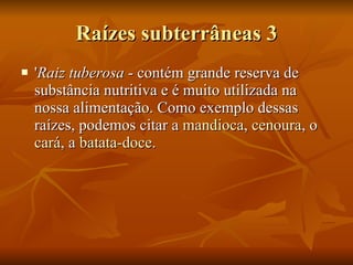 Raízes subterrâneas 3 ' Raiz tuberosa  - contém grande reserva de substância nutritiva e é muito utilizada na nossa alimentação. Como exemplo dessas raízes, podemos citar a  mandioca ,  cenoura , o  cará , a  batata-doce .  