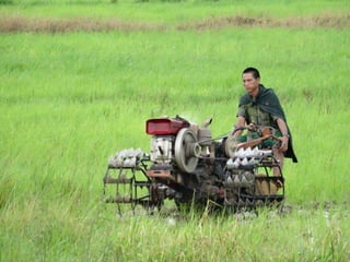 Myanmar Migration in a Time of Transformation