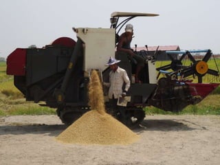 Myanmar Migration in a Time of Transformation