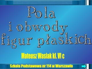 Szkoła Podstawowa nr 114 w Warszawie Mateusz Wasiak kl. VI c 