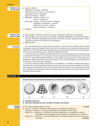 Biologia


     Exemplo de nota   a) Esponja – Porífero
     acima da média       Gastrópodes e mexilhoes – Moluscos
                          Estrela-do-mar e ouriço-do-mar – Equinodermos
                          Caranguejos e cracas – Artrópodes
                          Algas macroscópicas – Fitofícias
                       b) Mobilidade: esponjas e cracas – fixos
                                       demais – se deslocam
                          Alimentação: esponjas , cracas e mexilhões – filtradores
                                       gastrópodes e caranguejos – carnívoros
                                       estrela-do-mar e ouriço – herbívoro
                                       algas macroscópicas – produtores
                       c) Rodofícias.


     Exemplo de nota   a) Algas, esponjas, mexilhões, ouriços-do-mar, cracas , gastrópodes, estrela-do-mar, caranguejo.
     abaixo da média   b) esponjas, algas, cracas, ouriços-do-mar, mexilhões, caranguejos, gastrópodes, estrela-do-mar (organiza-
                          ção pela mobilidade). Organização pela obtenção de alimentos, esponjas, algas, gastrópodes, cracas,
                          mexilhões, ouriços-do-mar, estrelas do mar, caranguejos.
                       c) Algas Pirrofíceas.

        Comentários         Com esta questão objetiva e simples procurou-se avaliar o conhecimento dos candidatos sobre as caracte-
                       rísticas gerais dos grupos zoológicos e seus modos de vida. Apresentou-se uma situação que pode ocorrer no
                       cotidiano de um estudante para que ele agrupasse alguns seres vivos utilizando-se dos conhecimentos adqui-
                       ridos em sala de aula sobre taxonomia, mobilidade e hábitos alimentares.
                             Pelo desempenho dos candidatos, pode-se afirmar que esta questão apresentou pouca dificuldade, pois
                       15% obtiveram nota inferior a 2 ou a deixaram em branco, enquanto que 30% obtiveram notas 4 ou 5. Pode-
                       se dizer que, apesar desta aparente facilidade, foi uma questão que discriminou de maneira adequada os
                       candidatos. A média oscilou entre 2,09 na área de Artes a 3,34 na Área de Biológicas, demonstrando que o
                       assunto era do conhecimento dos candidatos.
                            Nos itens a e b desta questão, relacionados aos invertebrados, os candidatos mostraram desconhecer o
                       conceito de Filo. Muitos consideraram alga como grupo animal, além de outros erros grosseiros como classi-
                       ficar moluscos como artrópodes. Notou-se um desconhecimento dos modos de vida, especialmente alimenta-
                       ção e mobilidade, pois esta muitas vezes não foi relacionada a movimento ativo próprio do organismo mas ao
                       transporte passivo pela água.


QUESTÃO 16
                       As fases iniciais do desenvolvimento embrionário do anfioxo estão representadas nas figuras abaixo:




                                A                    B                  C                    D                          E

                       a) Identifique essas fases.
                       b) Descreva as diferenças de cada uma delas em relação à fase anterior.

           Resposta    a) Ovo, mórula, blástula, gástrula, nêurula.                                                    (1 ponto)
           esperada    b) Ovo (A)→ mórula (B) – clivagem ou segmentação ou formação de 32 blastômeros;
                          Mórula(B) → blástula (C) – formação da blastocele (com cavidade); mórula maciça;
                          Blástula (C) → gástrula (D) – formação do arquênteron (gastrocele) , com blastóporo a partir da
                                         invaginação de uma das regiões formando endoderme (mesentoderme) e ectoderme;
                          Gástrula (D) → nêurula (E) – ocorre simultaneamente a formação da mesoderme, celoma, tubo neural
                                         e notocorda.                                                                 (4 pontos)

60
 