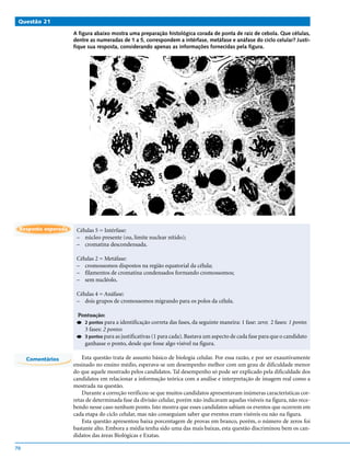 Questão 21

                     A figura abaixo mostra uma preparação histológica corada de ponta de raiz de cebola. Que células,
                     dentre as numeradas de 1 a 5, correspondem a intérfase, metáfase e anáfase do ciclo celular? Justi-
                     fique sua resposta, considerando apenas as informações fornecidas pela figura.




 Resposta esperada    Células 5 = Intérfase:
                      – núcleo presente (ou, limite nuclear nítido);
                      – cromatina descondensada.

                      Células 2 = Metáfase:
                      – cromossomos dispostos na região equatorial da célula;
                      – filamentos de cromatina condensados formando cromossomos;
                      – sem nucléolo.

                      Células 4 = Anáfase:
                      – dois grupos de cromossomos migrando para os polos da célula.

                      Pontuação:
                      q 2 pontos  para a identificação correta das fases, da seguinte maneira: 1 fase: zero; 2 fases: 1 ponto;
                        3 fases: 2 pontos
                      q 3 pontos para as justificativas (1 para cada). Bastava um aspecto de cada fase para que o candidato
                        ganhasse o ponto, desde que fosse algo visível na figura.

     Comentários         Esta questão trata de assunto básico de biologia celular. Por essa razão, e por ser exaustivamente
                     ensinado no ensino médio, esperava-se um desempenho melhor com um grau de dificuldade menor
                     do que aquele mostrado pelos candidatos. Tal desempenho só pode ser explicado pela dificuldade dos
                     candidatos em relacionar a informação teórica com a análise e interpretação de imagem real como a
                     mostrada na questão.
                         Durante a correção verificou-se que muitos candidatos apresentavam inúmeras características cor-
                     retas de determinada fase da divisão celular, porém não indicavam aquelas visíveis na figura, não rece-
                     bendo nesse caso nenhum ponto. Isto mostra que esses candidatos sabiam os eventos que ocorrem em
                     cada etapa do ciclo celular, mas não conseguiam saber que eventos eram visíveis ou não na figura.
                         Esta questão apresentou baixa porcentagem de provas em branco, porém, o número de zeros foi
                     bastante alto. Embora a média tenha sido uma das mais baixas, esta questão discriminou bem os can-
                     didatos das áreas Biológicas e Exatas.

70
 