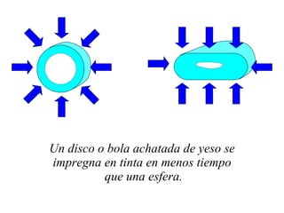 Un disco o bola achatada de yeso se impregna en tinta en menos tiempo que una esfera. 