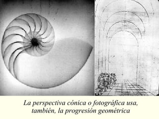 La perspectiva cónica o fotográfica usa, también, la progresión geométrica 