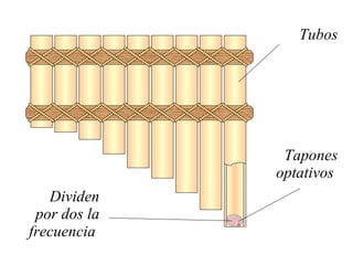 Tubos Tapones optativos  Dividen por dos la frecuencia  