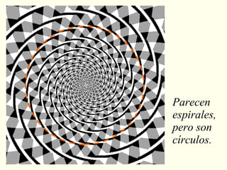 Parecen espirales, pero son círculos. 